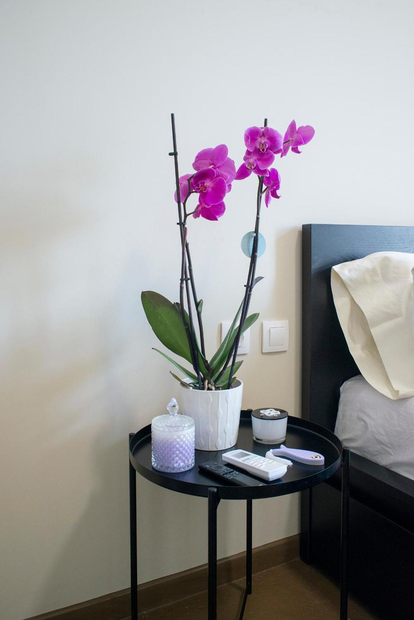 Ancient Agora Plaka Hotel Athens Ngoại thất bức ảnh